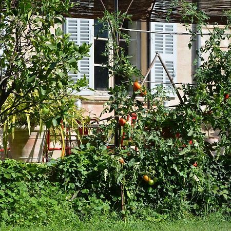 Les Passiflores Grasse Kültér fotó