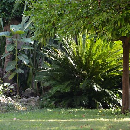Les Passiflores Grasse Kültér fotó