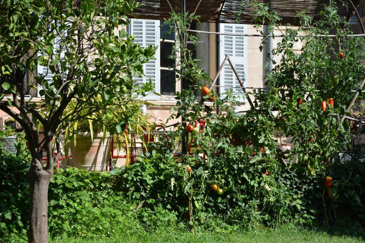 Les Passiflores Grasse Kültér fotó