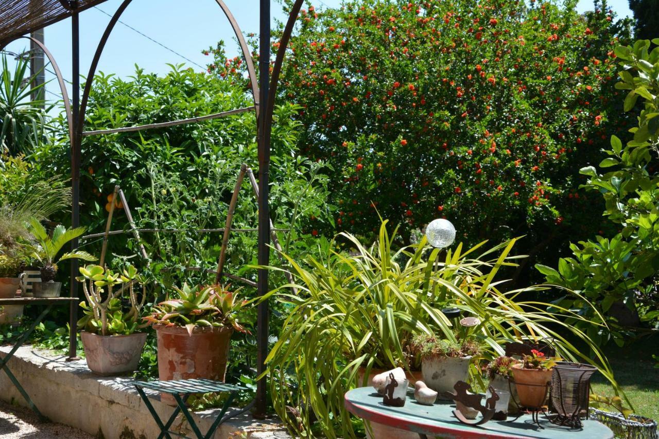 Les Passiflores Grasse Kültér fotó