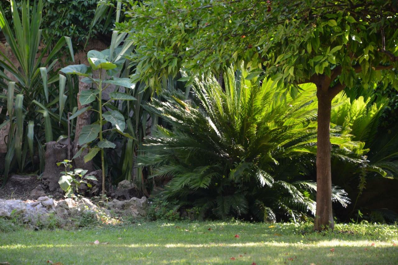 Les Passiflores Grasse Kültér fotó